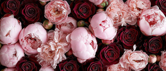 WEDDING SEASON 2024 BEAUTY ESSENTIALS